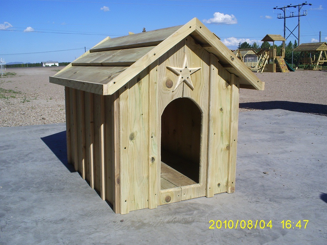 Casita Perro Clave #16